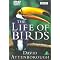 My favorites wildlife documentaries