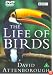 David Attenborough's Life Of Birds [1998]