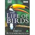 The Life of Birds [DVD] [1998]