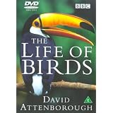 The Life of Birds [DVD] [1998]by David Attenborough