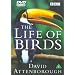 David Attenborough's Life Of Birds [1998]