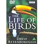 David Attenborough's Life Of Birds [1998]