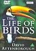 David Attenborough's Life Of Birds [DVD] [1998]