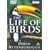 David Attenborough's Life Of Birds [DVD] [1998]