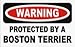 boston terrier - WARNING PROTECTED BY A BOSTON TERRIER Hat