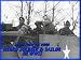 Search : Negro Soldier And Sailor (African American) In World War II