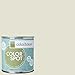 Inspired Eggshell Interior Colorspot Paint Sample, Bisque .03, 8-oz