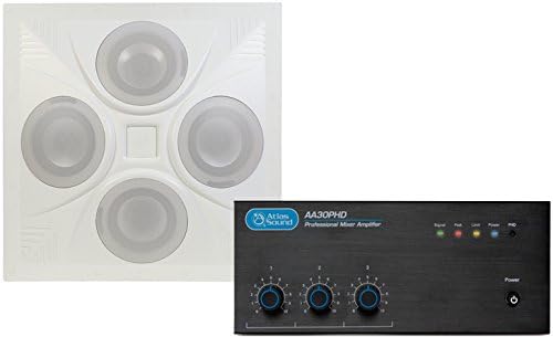 Retail Store Sound System with Drop In Ceiling Speaker and 30 Watt Mixer Amplifier