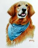 Golden Retriever Bandana - Cats and Dogs Crew Neck Sweatshirt