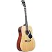 Washburn GL140T Leland by Oscar Schmidt Acoustic Guitar w/ Accessory Kit