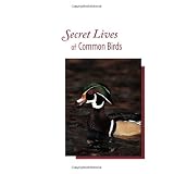 Secret Lives of Common Birds: Enjoying Bird Behavior Through the Seasons ~ Marie Read