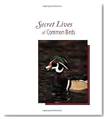 Secret Lives of Common Birds: Enjoying Bird Behavior Through the Seasons