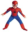 Toddler Deluxe Spider-man Costume - Toddler
