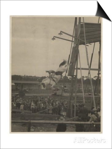 Custom Posters 20X30 Inch Sonora Carver Performs as a Diving Horse Girl; National Museum of American History: AC Photography Print