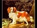 King Charles Spaniel by George Stubbs Art Print Poster