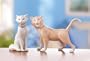 Aristocats