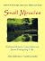 Small Miracles: Extraordinary Coincidences from Everyday Life (v. 1)