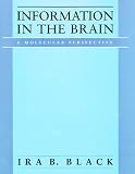 Information in the Brain Image of Information in the Brain