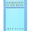 Information in the Brain