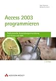 Access 2003 programmieren. Professionelle Anwendungsentwicklung mit Access und VBA.