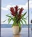 Triple Star Bromeliad Silk Arrangement