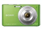 Sony Cyber-shot DSC-W610 14.1MP Point-and-Shoot Digital Camera (Green) with Camera Case