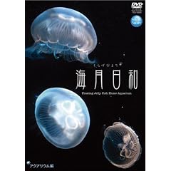 海月日和 アクアリウム編