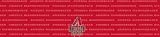 Arizona Diamondbacks Team Auto Visor Decal
