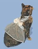 Here Comes the Bride Cat Wedding Dress Large