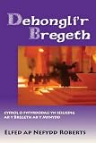 Dehongli'r bregeth : myfyrdodau ar y Bregeth ar y Mynydd allan o Efengyl Mathew