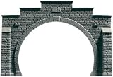 TT 2track tunnel mouth profiplus,unpaint