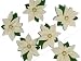 Dress It Up Holiday Collection - Ivory Poinsettas Image