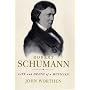 Robert Schumann: Life and Death of a Musician
