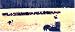 Lead Dogs An Introductory Stockdog Training Tape for Today's Cattle Rancher
