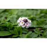 ���i�̏ڍ�