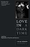 Love in a Dark Time: And Other Explorations of Gay Lives and Literature