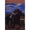 The Best Horse Books for Horsey People!