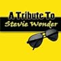 You Haven't Done Nothing - (Tribute To Stevie Wonder)