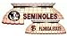 Florida State Seminoles Pool Table Billiards Tiffany Lamp Florida State Seminoles Pool Table Billiards Tiffany Lamp