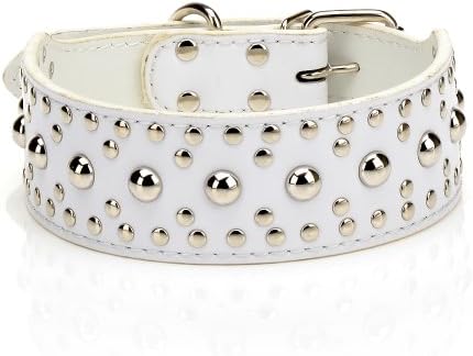 Pet Kingdom 18-24'' Leather Studded Large Dog Collar 4 Colors 3 Size Pet Collar (White, Medium)