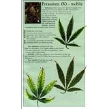 Indoor Marijuana Horticulture byCervantes