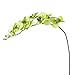 1 x Artificial Butterfly Orchid Flower Plant Home Decor - Green
