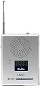 Kaito Pocket-Size AM/FM & Shortwave Radio with Alarm Clock and LED flashlight, KA202L