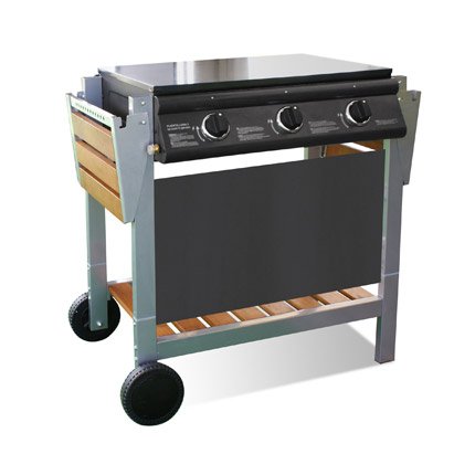 Barbecue mixte au gaz Etna