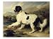 Newfoundland Dog Called Lion, 1824 Art Giclee Poster Print by Edwin Henry Landseer, 12x9