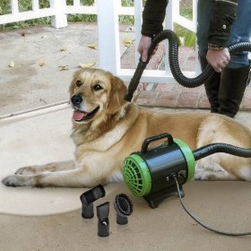 Large 4″ Furminator and Pet Dryer Combination. Now You Can Groom, Dry and Deshed Your Dog All At the Same Time with This Combo Package.