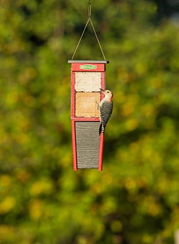 Duncraft Tail Prop Woodpecker Suet Shield Feeder