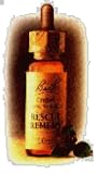 Empty Bach Dropper Bottle each (30ml)