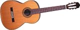 Takamine C132S Classical Nylon String Acoustic Guitar
