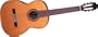 Takamine C132S Classical Nylon String Acoustic Guitar